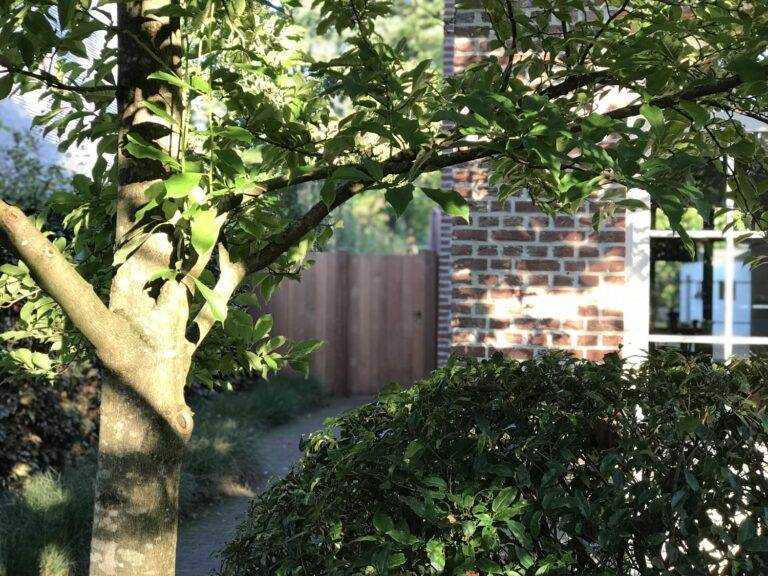 Paul deckers, tuin- en landschapsarchitect